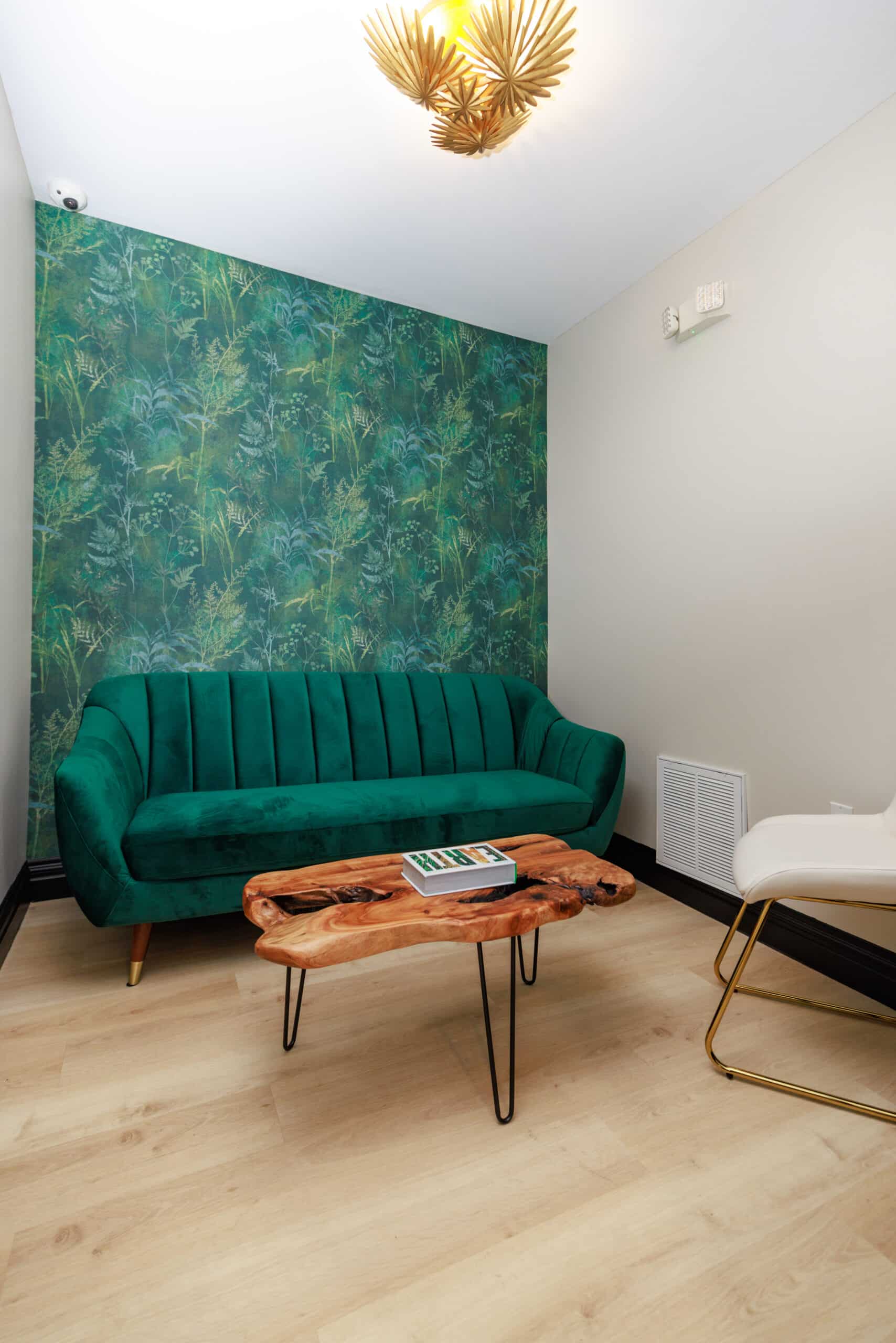 Jersey Roots Waiting Room